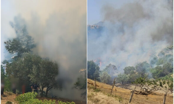 incendi-cosenza-calabria-fiamme-fuoco-boschi