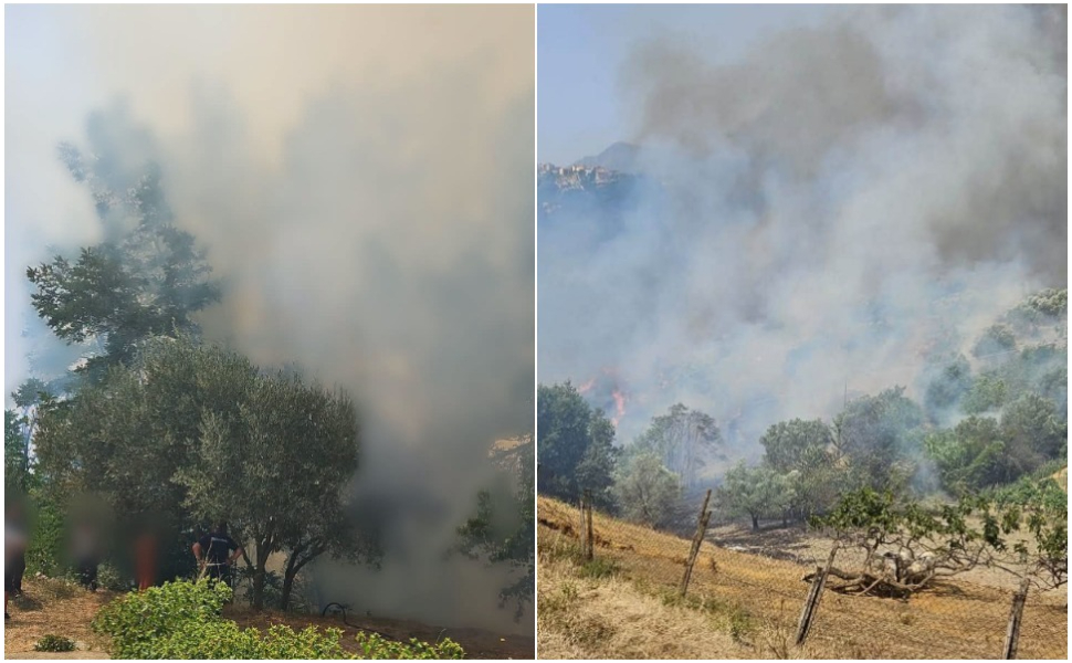 La Calabria continua a bruciare, a Cosenza preoccupa Cozzo del Monaco: disposto lo sgombero 213 incendi-cosenza-calabria-fiamme-fuoco-boschi