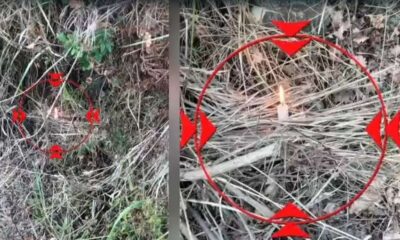 incendi costarella protezione civile calabria 01