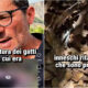 Incendi in Calabria innescati da menti 'criminali' con «gatti, liquido infiammabile e candele» - VIDEO 52 incendi-dolosi-calabria.jpg
