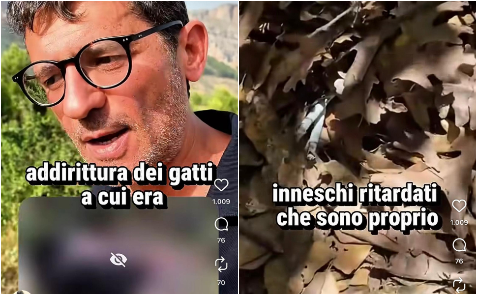 Incendi in Calabria innescati da menti 'criminali' con «gatti, liquido infiammabile e candele» - VIDEO 213 incendi-dolosi-calabria.jpg
