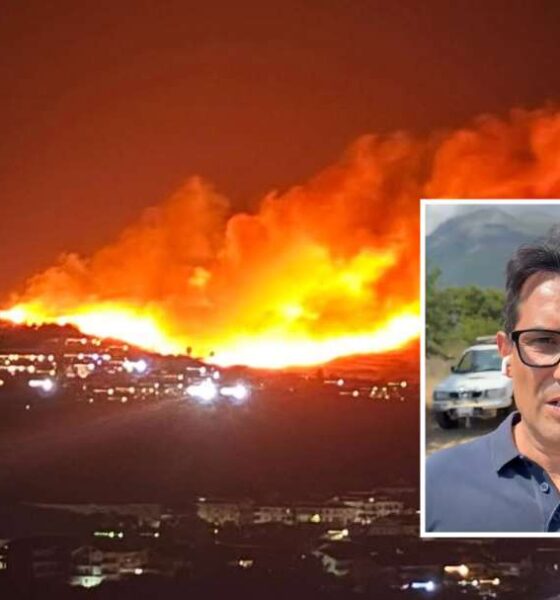 Gli incendi sul Pollino lasciano il segno, 1.000 ettari in cenere: il primo bilancio è ingente 56 incendi pollino luigi lirangi parco 01