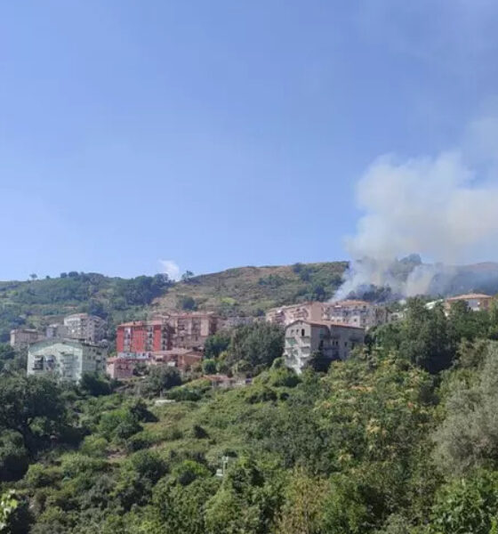 Torna l'incubo incendi a Verbicaro: fiamme a un passo dalle abitazioni, residenti in allarme 56 incendi-verbicaro-fiamme
