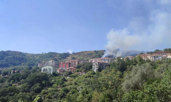 incendi-verbicaro-fiamme