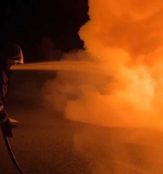 incendio-auto-sibari generica