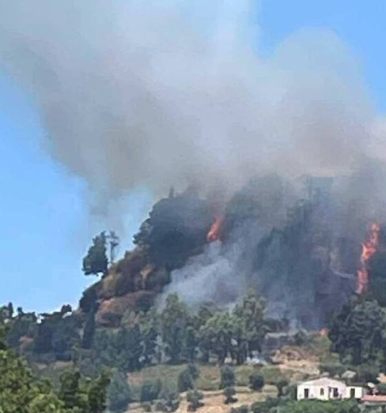 incendio centro storico rende