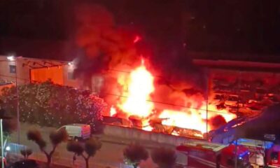 incendio ecologia oggi