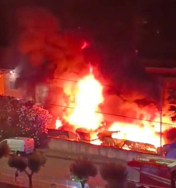 incendio ecologia oggi