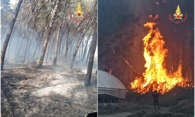 incendio-fuoco-fiamme-curinga-catanzaro