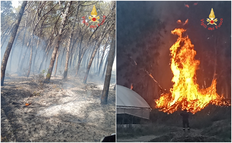 Inferno di fuoco, le fiamme devastano ettari di pineta: maxi intervento dei vigili del fuoco 212 incendio-fuoco-fiamme-curinga-catanzaro