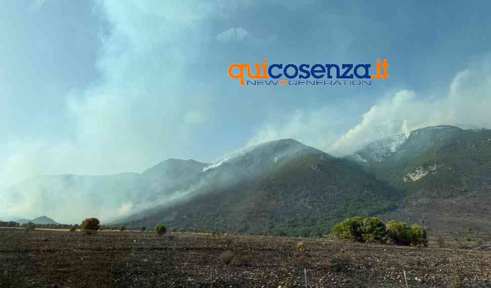 Gli incendi sul Pollino lasciano il segno, 1.000 ettari in cenere: il primo bilancio è ingente 52 incendio-pollino-1