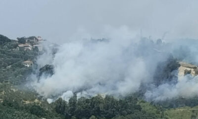incendio-rende-nogiano-vegetazione