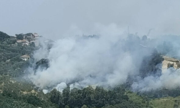 incendio-rende-nogiano-vegetazione