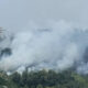 Paura a Rende, vasto incendio sulle colline di Nogiano: soccorsi al lavoro senza sosta 64 incendio-rende-nogiano-vegetazione