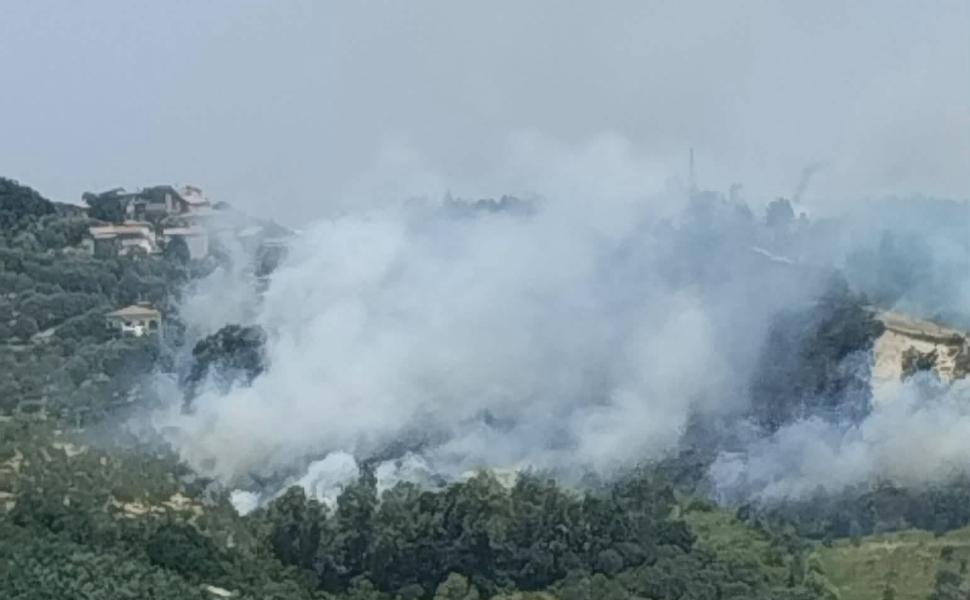 Paura a Rende, vasto incendio sulle colline di Nogiano: soccorsi al lavoro senza sosta 51 incendio-rende-nogiano-vegetazione