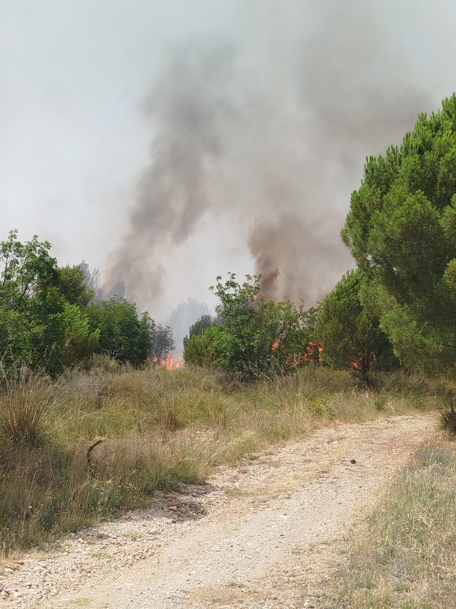 Vasto incendio a Castrovillari: trasferite le detenute della casa circondariale, Garante «lavoro di squadra» 54 incendio_castrovillari_3