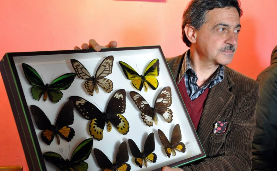 nicola bloise il nibbio 02
