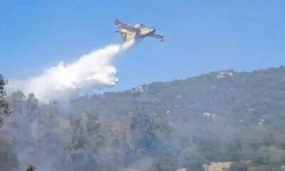 pollino-fiamme-incendio-tortora