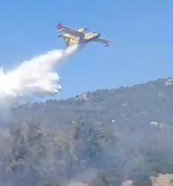 Pollino, l'incendio non si ferma: dopo cinque giorni le fiamme tornano a divorare i boschi 56 pollino-fiamme-incendio-tortora