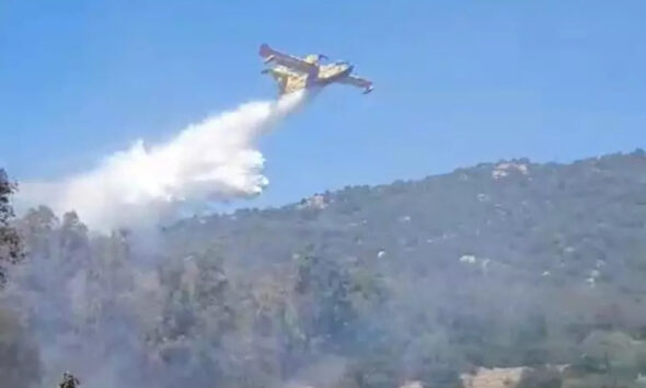 pollino-fiamme-incendio-tortora