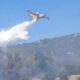 pollino-fiamme-incendio-tortora