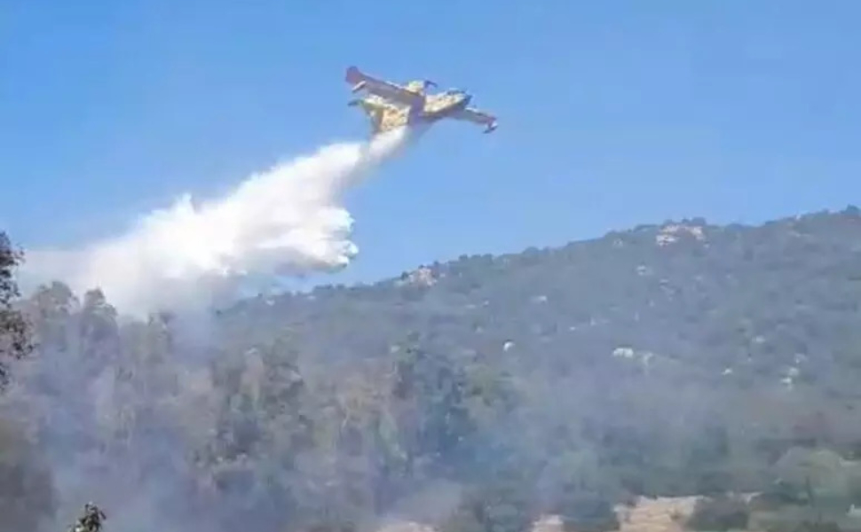 Pollino, l'incendio non si ferma: dopo cinque giorni le fiamme tornano a divorare i boschi 89 pollino-fiamme-incendio-tortora
