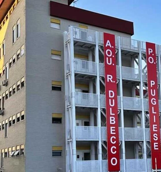 Allerta dopo la morte del piccolo Alessio: un altro bimbo ricoverato in via precauzionale 56 pugliese ciaccio dulbecco bimbo