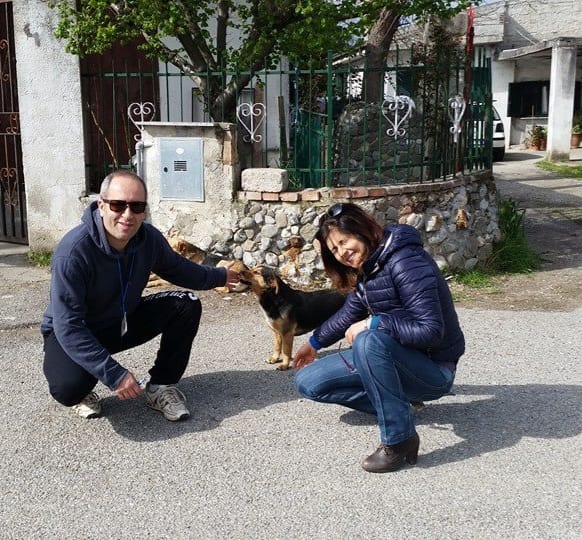 Quanti sono i cani randagi a Castrovillari? Scatta il monitoraggio sul territorio 52 randagi-castrovillari-immagini-del-precedente-monitoraggio