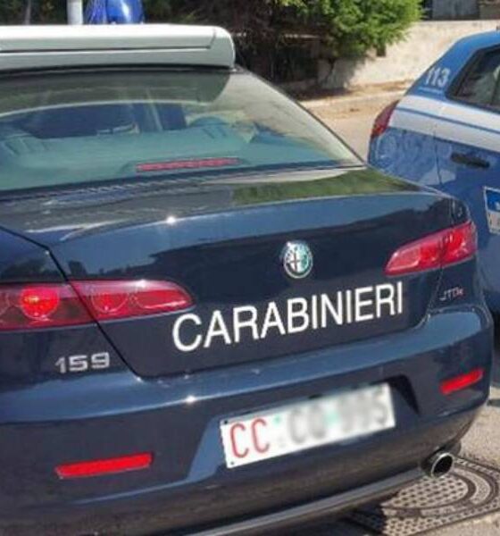 ricerche 14enne scomparsa polizia carabinieri cosenza 02