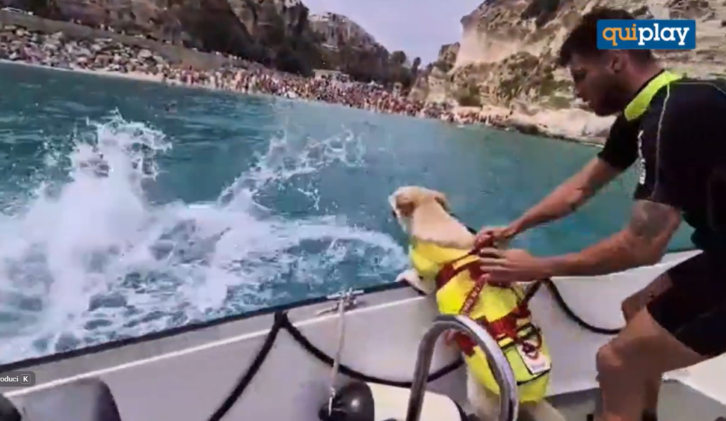 salvataggio-guardia-costiera-cani-3
