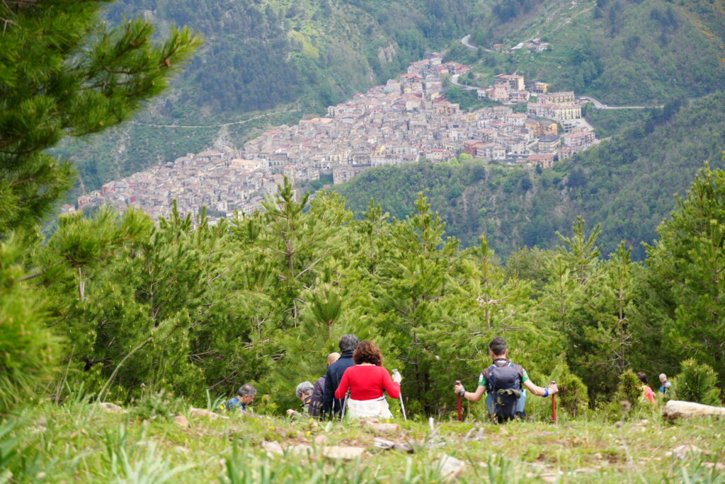 Esplorare la Sila ad agosto: Il calendario ufficiale delle escursioni tra foreste, fiumi e vette 52 sila escursioni guide
