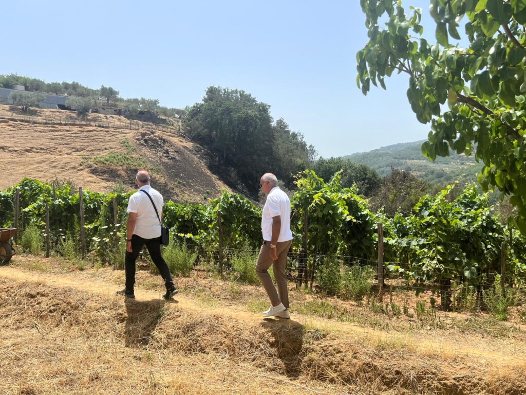 Incendio a Cosenza, paura a Cozzo del Monaco: il sindaco Caruso visita le famiglie colpite dal rogo 54 sopralluogo-incendio