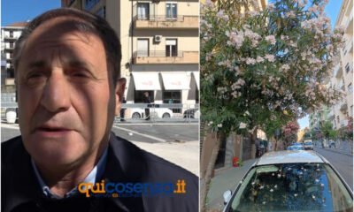 strazzulli fiori oleandri cosenza auto