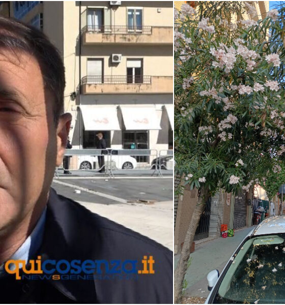 strazzulli fiori oleandri cosenza auto