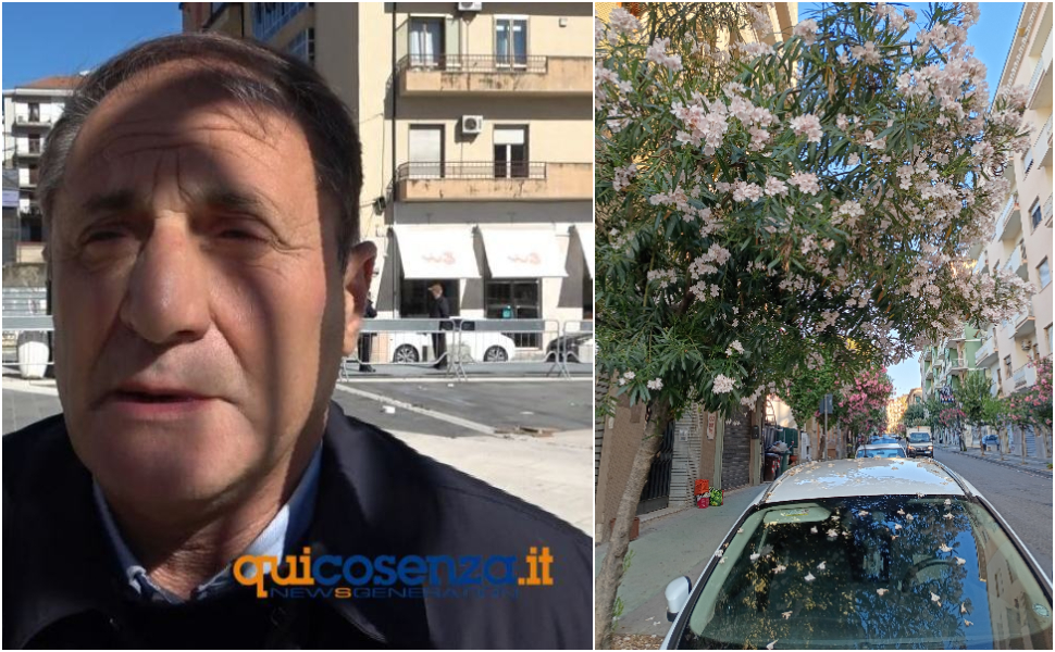 strazzulli fiori oleandri cosenza auto