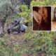 Morirono a 17 e 18 anni in un incidente stradale: condannato a 3 anni il proprietario dell'auto 64 tragico-incidente-stradale-san-pietro-maida anna e maria 01