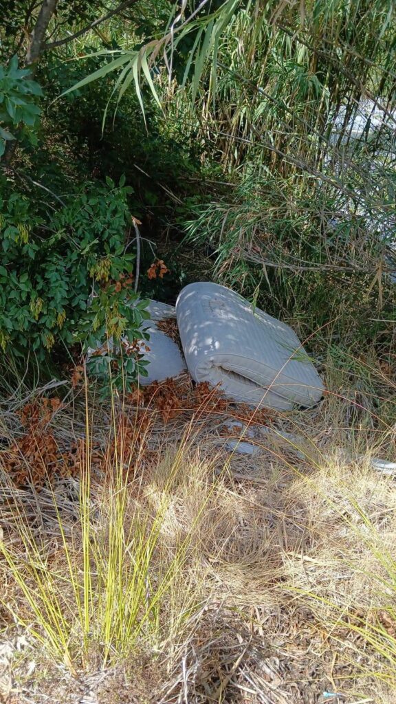 Orsomarso, ancora degrado sul fiume Lao: materassi e rifiuti nell'area protetta 53 fiume lao-discarica-rifiuti-orsomarso