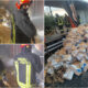 A2, autotreno carico di pellet prende fuoco nella notte: ore di lavoro per domare l'incendio 62 A2-incendio-camion-pellet-Lamezia-Falerna