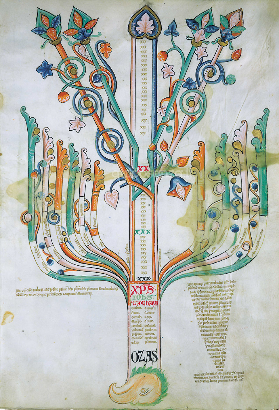 Albero-Aquila-Giocchino da Fiore