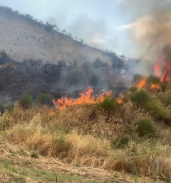 Bisignano incendio 01