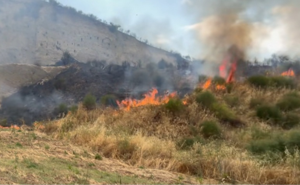 Bisignano incendio 01