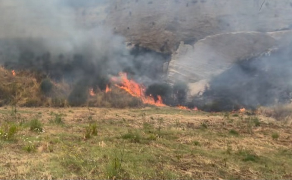 Bisignano, incendio a ridosso del nuovo cimitero. Sindaco a chi ha appiccato il fuoco «delinquenti e vigliacchi» 52 Bisignano incendio 02