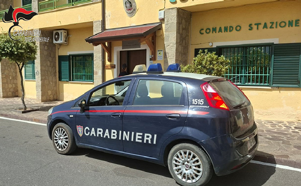 Carabinieri Forestale Rossano