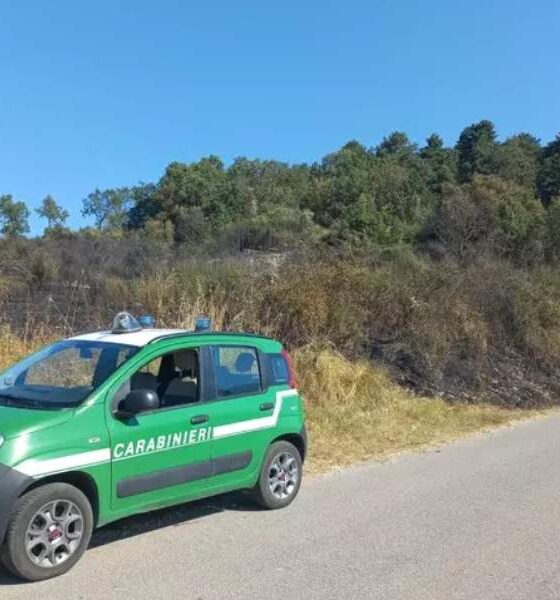 Appicca il fuoco vicino ad un bosco sul Pollino, arrestato un 56enne nel Cosentino 56 appicca_fuoco_arrestato