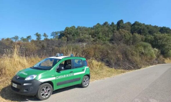 appicca_fuoco_arrestato