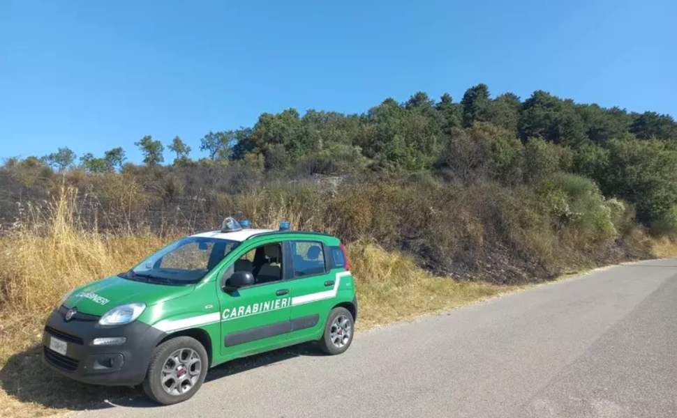 Appicca il fuoco vicino ad un bosco sul Pollino, arrestato un 56enne nel Cosentino 89 appicca_fuoco_arrestato