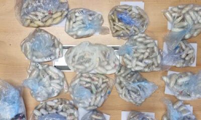 Cocaina Treno AV bagaglio sequestro stazione termini 8 chili di cocaina