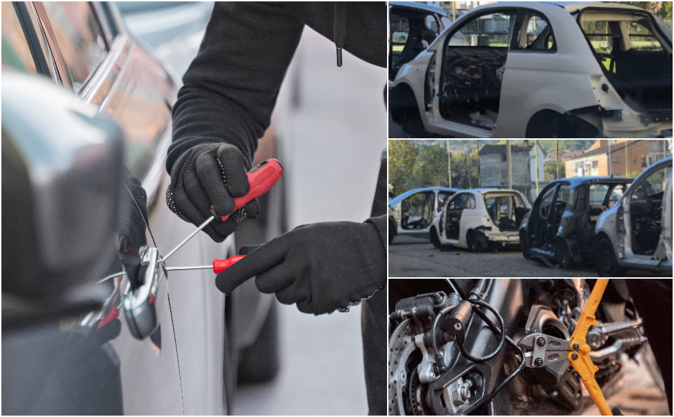 Furti di auto, dalla Panda al SUV: a Cosenza e provincia sparite 706 auto in un anno. Meno del 40% viene ritrovato 51 Furti di auto Cosenza