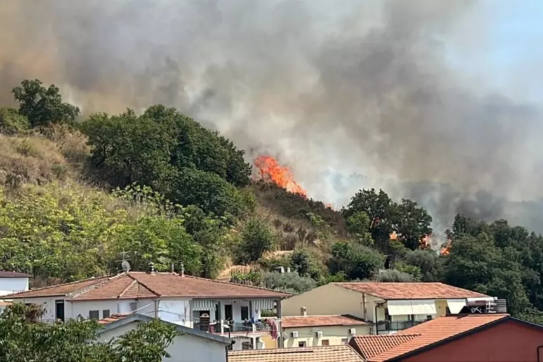 Incendio a Santa Maria del Cedro