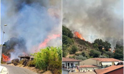 Incendio paura a Santa Maria del Cedro e grisolia incendi